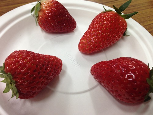 写真 2015-02-24 15 59 26.jpg