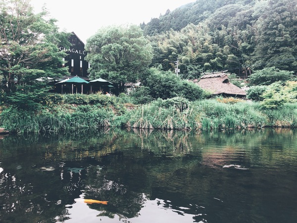 写真 2019-06-09 8 42 49.jpg